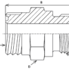 8303T-4-4 - Straight Adapters - Male Straight Thread - Image 3